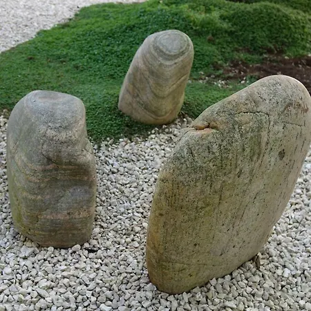 Garden Chez Olivier Toulouse