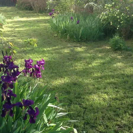 Garden Chez Olivier ホームステイ *