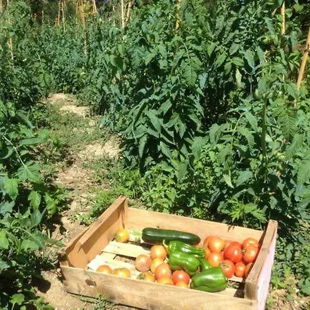 Homestay Garden Chez Olivier *